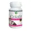 Colafit DOG & CAT 100 kost / Kloubní výživa pro psy a kočky
