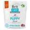 Brit Care Dog Hypoallergenic Puppy 1 kg / Kompletní krmivo pro psy / Hypoalergenní / 4 týdny – 12 měsíců