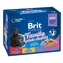 Brit Premium Cat Pouches Family Plate (12x100 g) 1.2 kg / Kapsičky pro kočky
