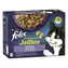 Purina Felix Sensations Mix 12x 85 g / kapsičky pro kočky / krůtí & jehněcí & makrela & sleď