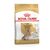 Royal Canin Yorkshire Terrier Ageing 8+ 3 kg / Granule pro psy / pro Jokšírského teriéra od 8 let
