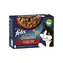 Purina Felix Sensations Sauce multipack výběr masa 12x85g / Kapsičky pro kočky