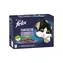 Purina Felix Fantastic multipack výběr se zeleninou 12 x 85 g / Kapsičky pro kočky