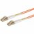 Opticord LC-LC 50-125µ 2m
