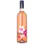 Piálek & Jäger Roséčko Zweigeltrebe 2024 pozdní sběr rosé 11% 0.75 l