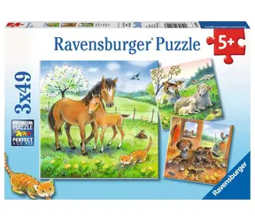 Ravensburger Čas na objetí