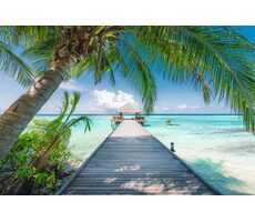 Ravensburger 120017370 Dechberoucí Maledivy 4000 dílků