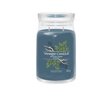 Yankee Candle Signature Bayside Cedar velká sklenice 567g