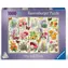 Ravensburger Puzzle: Poklady venkovské zahrady / 1000 dílků