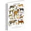 NOTIQUE Animalium Kočkovité šelmy / Spirálový blok / A5 / čtverečkovaný