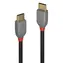 Lindy USB-C 1 m černá / USB kabel / USB 2.0 / 480 Mbit/s