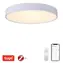 IMMAX NEO RONDATE SLIM bílá / Stropní svítidlo / 60 cm / 53 W / 3710 lm / Zigbee 3.0 & TUYA