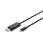 Digitus AK-300334-020-S černá / Redukce USB-C na DisplayPort / 2 m / DisplayPort 1.4 / 8K 30Hz / 4K 144Hz