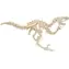 WOODCRAFT Dřevěné 3D puzzle Velociraptor / od 6 let / Obtížnost: jednoduchá