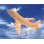 WOODCRAFT Dřevěné 3D puzzle Boeing / od 6 let / Obtížnost: jednoduchá