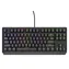 Genesis Thor 230 TKL RGB Outemu Brown černá / Herní klávesnice / Mechanická / US layout / Drátová USB