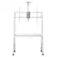 Maclean MC-114 W bílá / Mobilní stojan na TV / 55-100" / nosnost 120 kg / VESA 200x200-900x600 / s policí