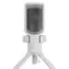 Genesis Radium 250 bílá / Streamovací mikrofon / USB Type-C / RGB podsvícení