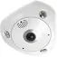 LevelOne FCS-3095 / IP kamera / Fisheye dome / 12MP / H.265 / IR 15m / PoE / IP67
