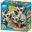 PRIME 3D Puzzle Animal Planet: Lemur kata / 150 dílků / 3D efekt