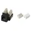 Xtendlan Keystone jack RJ45 černý / TP zásuvka / CAT5e / UTP / narážecí / krytka proti prachu