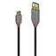 Lindy USB-A - USB-C černá / Kabel / USB 2.0 / 480 Mbit/s / 0,5 m