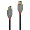 Lindy USB 2.0 černá / Kabel USB / USB-C - USB-C / 2 m / 480 Mbit/s