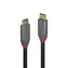 Lindy Anthra Line USB-C - USB-C 1m černá / Kabel USB / USB 3.1 Gen 2 / 10 Gbit/s / PD 100W