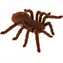 KIK Tarantule na dálkové ovládání / Hračka na dálkové ovládání / od 8 let