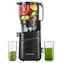 AMZCHEF SJ-036CBK černá / Pomalý odšťavňovač / 250 W / do 50 dB / 2,5 l