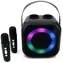 Soundmaster BT2024SW / Karaoke reproduktor / 5W / Bluetooth / Disco light / USB-C / 2x bezdrátový mikrofon