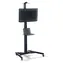 Digitus Podlahový stojan na TV / Stojan na TV / VESA 600x400 mm / 37-70" / nosnost 50 kg / výškově nastavitelný