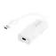 LogiLink USB-C na Mini DisplayPort bílá / Adaptér / USB 3.2 Gen1 / 4K 60Hz / 0,15 m