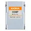 KIOXIA CD8P-V 6.4TB / SSD / 2.5" / PCIe 5.0 NVMe / Enterprise