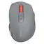Canyon OnClick 20 šedá / Bezdrátová optická myš / 2.4 GHz / 1600 dpi / 6 tlačítek / tichá