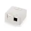 Equip 2-Port Keystone bílá / Krabice pod omítku / nestíněná
