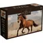 INTERDRUK Puzzle Wild Horses 2: Hnědý divoký kůň / 1000 dílků