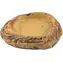 Repti Planet Teraristická miska béžová / Miska / pryskyřice / 17,5 × 14 × 3,5 cm