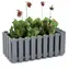 PROSPERPLAST Truhlík BOARDEE FENCYCASE 58 cm šedý kámen / Výška 16,2 cm / Šířka 18 cm / Plast