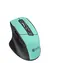 C-TECH Ergo WLM-05 mátová / Ergonomická optická bezdrátová myš / 1600 DPI / 6 tlačítek