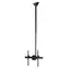 StarTech Stropní držák pro TV / Držák / 32-75" / VESA 200x200-600x400 / nosnost 50 kg / náklon -25-0°