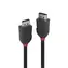 Lindy Black Line černá / Přípojný kabel / DisplayPort 1.2 / 0,5 m / 4096 x 2160 px