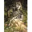 NORIMPEX Diamantové malování Vlci v lese / Diamantové malování / 30x40 cm