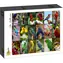 GRAFIKA Puzzle Nejkrásnější ptáci světa / 1500 dílků / 85 × 61 cm
