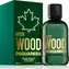 Dsquared2 Green Wood EDT 100 ml / Toaletní voda / Pánská