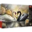 TREFL Puzzle Premium Plus Krásné Labutě / 1000 dílků / 68,3 x 48 cm