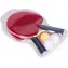 ECOTOYS Sada na stolní tenis / 2 pálky / 3 míčky