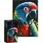 INTERDRUK Puzzle Colorful Nature: Papoušek / 250 dílků / 48 × 33 cm
