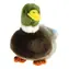 TEDDIES Plyšový kačer divoká kachna 18 cm / Plněný kuličkami / od 0 měsíců