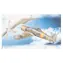 SMĚR Plastikový model Macchi M.C. 200 Saetta / plast / 16,1x21,2 cm / od 6 let